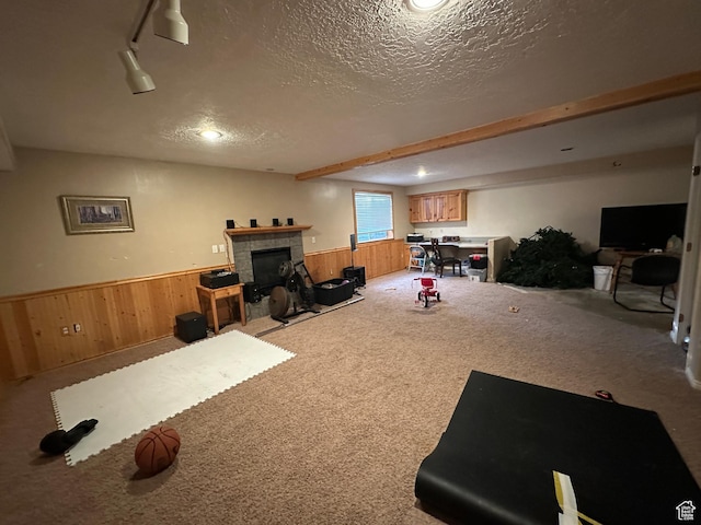 83 E 1820 S, Orem, UT 84058 - exercise room with a wainscoted wall, wooden walls, carpet, a textured ceiling, and a tiled fireplace