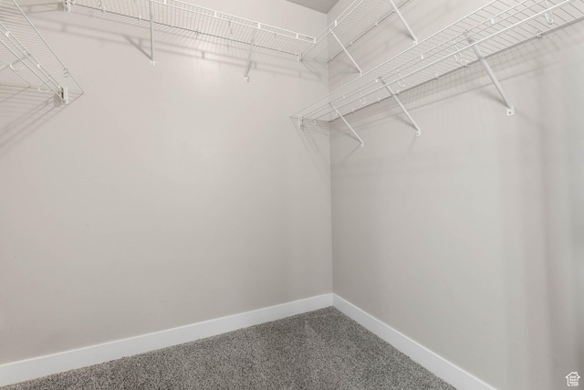 4234 W Mckellen Dr S Unit G301, Herriman, UT 84096 - walk in closet featuring carpet