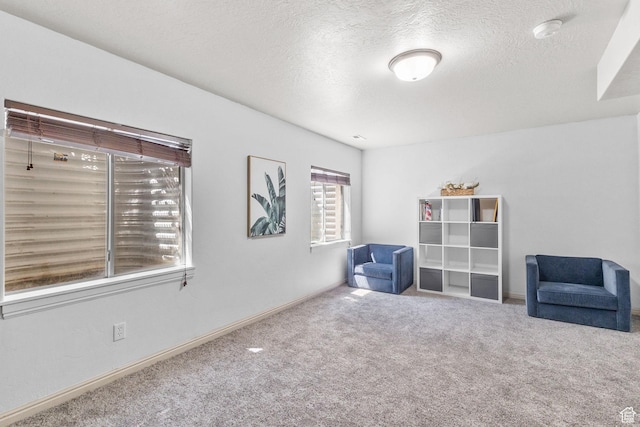 108 S 610 E, American Fork, UT 84003 - living area featuring carpet and a textured ceiling