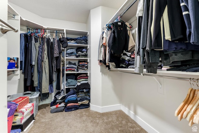 499 N Stone Ridge Dr, Saratoga Springs, UT 84045 - spacious closet with carpet floors
