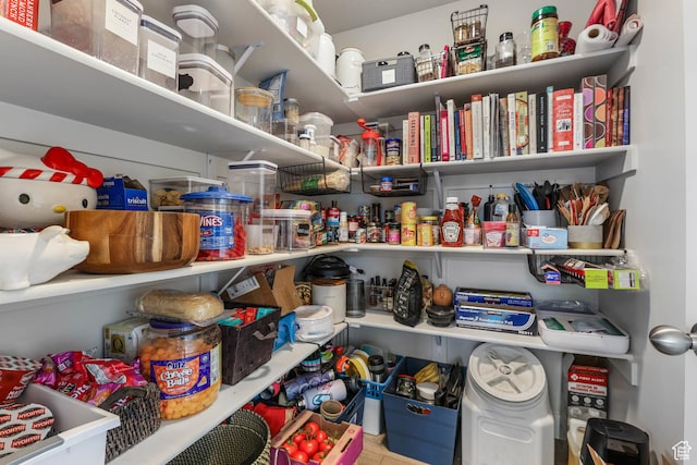 499 N Stone Ridge Dr, Saratoga Springs, UT 84045 - view of storage area