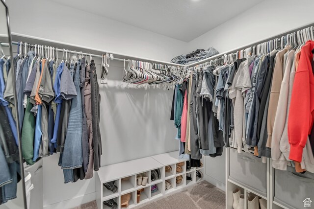 3444 Sparrow Ln W Unit 164, Eagle Mountain, UT 84005 - walk in closet featuring carpet flooring