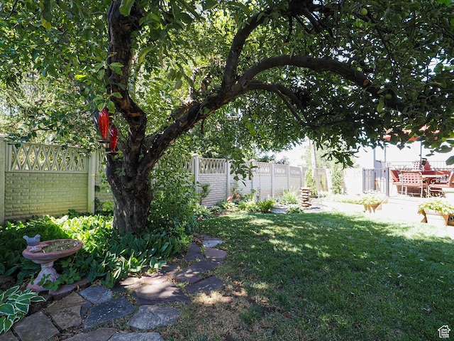 2680 E 2100th St S Unit 44-45, Salt Lake City, UT 84109 - view of fenced yard