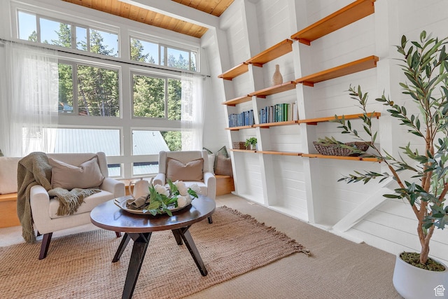 575 Upper Evergreen Dr, Park City, UT 84098 - sitting room with carpet flooring and wooden ceiling