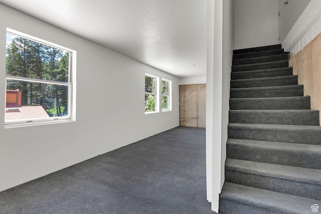 575 Upper Evergreen Dr, Park City, UT 84098 - stairway with carpet floors