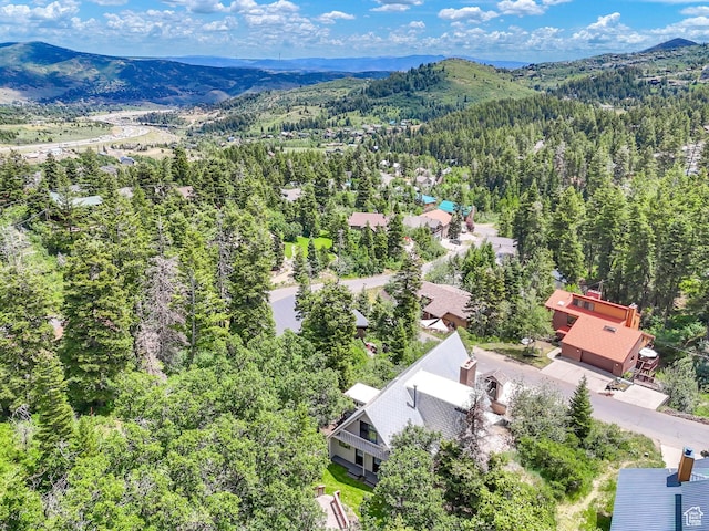 575 Upper Evergreen Dr, Park City, UT 84098 - bird's eye view of a mountainous background