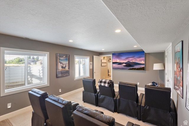 13 W 1370 S, Mona, UT 84645 - carpeted home theater with a textured ceiling, recessed lighting, and plenty of natural light