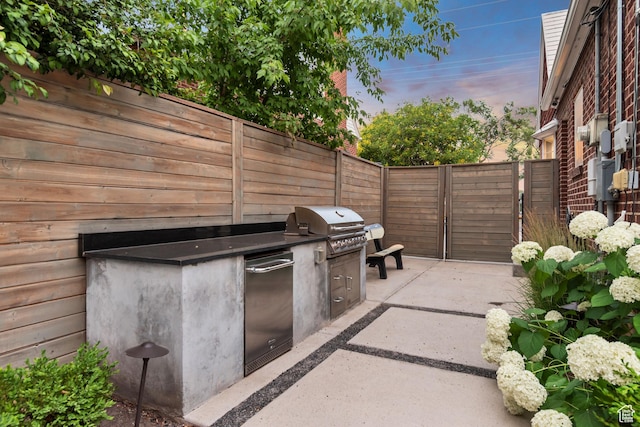 1221 E 800 S, Salt Lake City, UT 84102 - view of patio with exterior kitchen