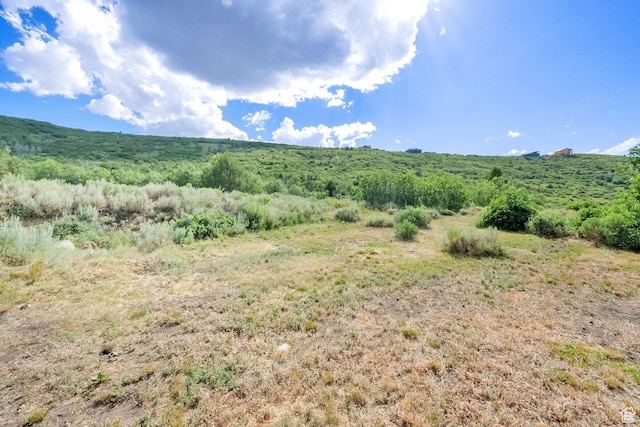 1674 S Cottonwood Ct Unit 1217, Heber City, UT 84032 - view of mountain backdrop
