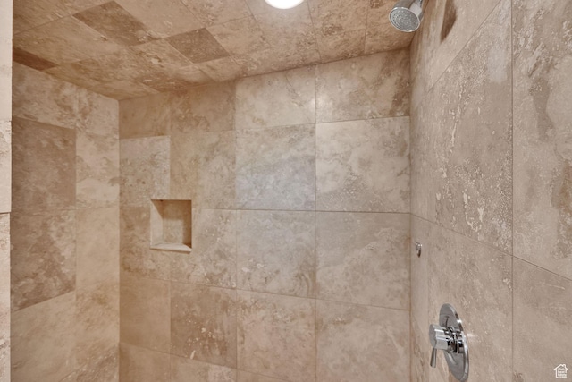 1674 S Cottonwood Ct Unit 1217, Heber City, UT 84032 - bathroom view of tiled shower