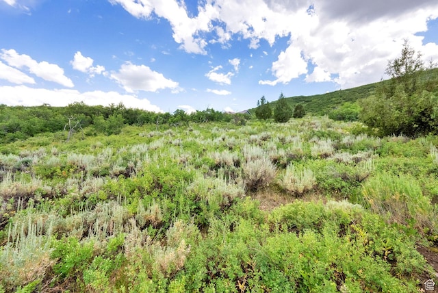 1674 S Cottonwood Ct Unit 1217, Heber City, UT 84032 - view of local wilderness