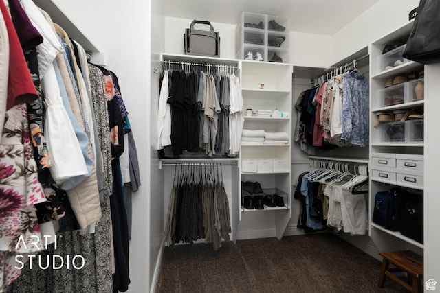 2244 S Hunter Dr, Saratoga Springs, UT 84045 - spacious closet with carpet flooring