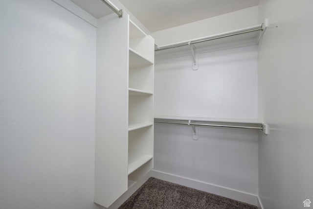 1728 E Shadow Dr, Eagle Mountain, UT 84005 - spacious closet with carpet flooring