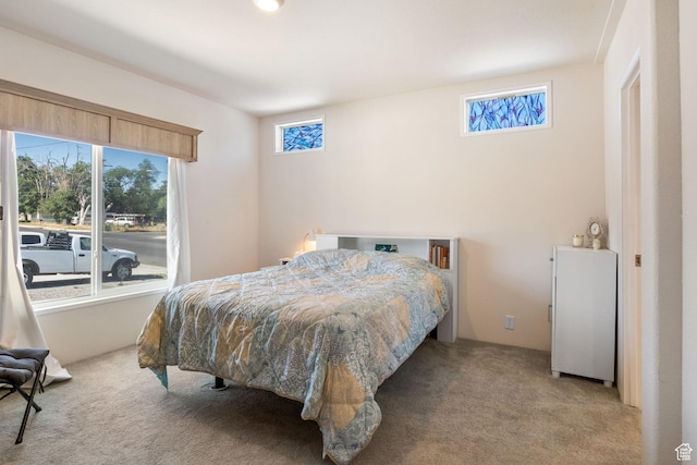 516 N Broadway Ave, Tooele, UT 84074 - carpeted bedroom with multiple windows