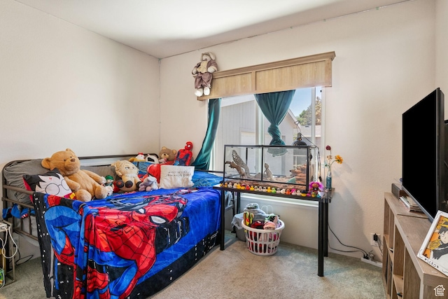 516 N Broadway Ave, Tooele, UT 84074 - bedroom with carpet flooring