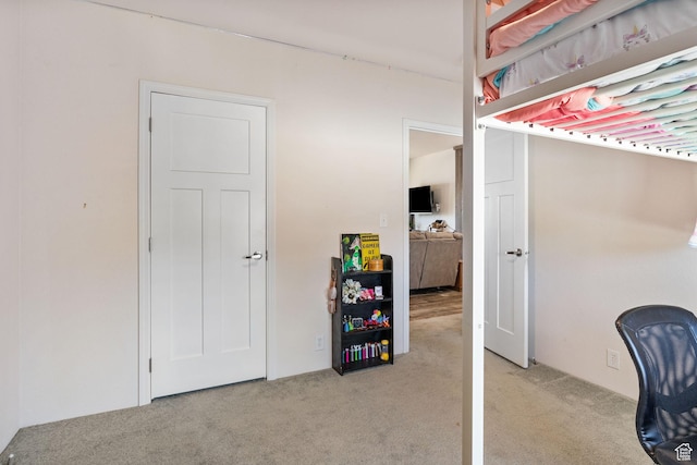 516 N Broadway Ave, Tooele, UT 84074 - bedroom with carpet