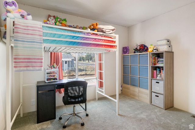 516 N Broadway Ave, Tooele, UT 84074 - home office with carpet flooring