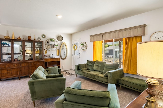 516 N Broadway Ave, Tooele, UT 84074 - view of carpeted living area