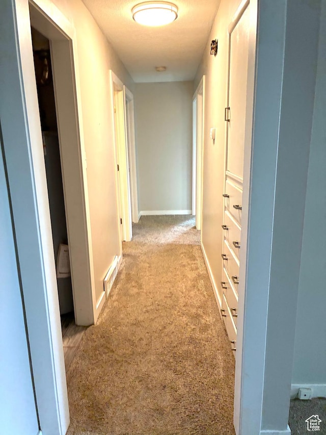 553 Clark St, Woods Cross, UT 84010 - hall featuring carpet floors and baseboards