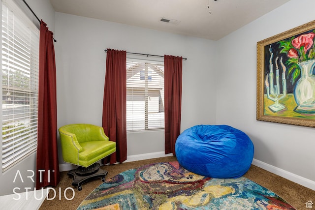 94 S 6175 W, Hurricane, UT 84737 - living area with carpet and baseboards
