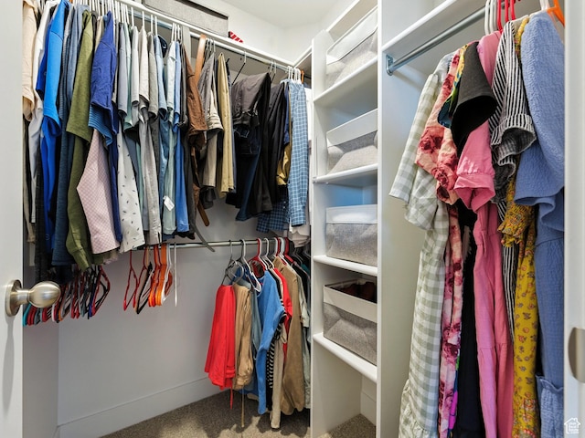 5084 E Lakefield Dr E, Eagle Mountain, UT 84005 - spacious closet with carpet flooring