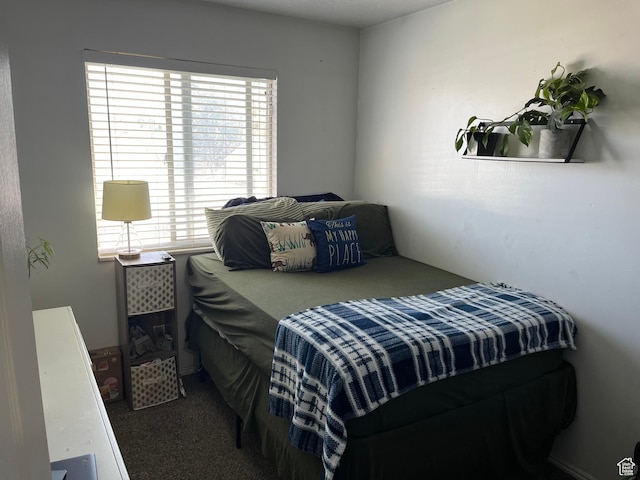 6433 S Laurel Canyon Dr W, Salt Lake City, UT 84118 - view of carpeted bedroom