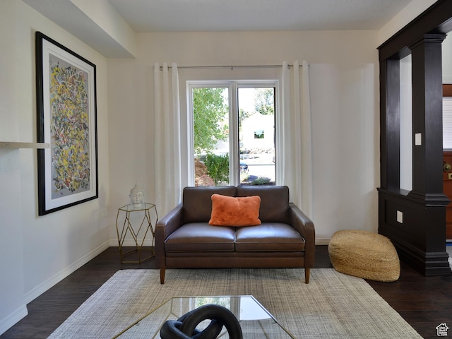374 E 6th Ave, Salt Lake City, UT 84103 - living area featuring dark wood-style flooring