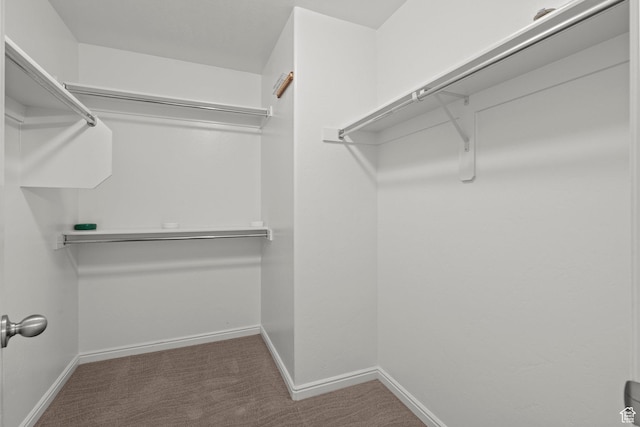 1221 S 130th St E, Payson, UT 84651 - spacious closet with carpet flooring