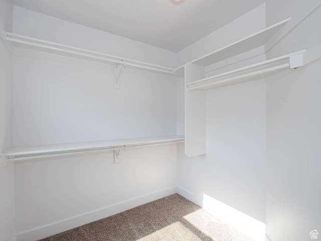 1792 W Dalmeny Way, Riverton, UT 84065 - walk in closet featuring carpet flooring