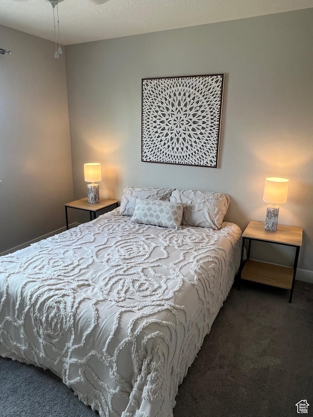 10337 S Wapati Moon Pl, South Jordan, UT 84095 - bedroom featuring carpet floors
