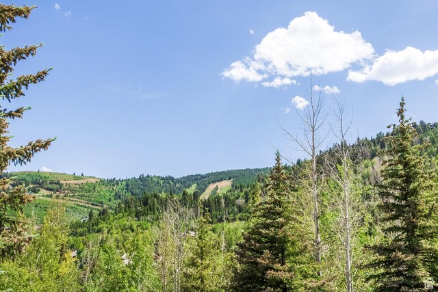 1308 Pinnacle Ct, Park City, UT 84060