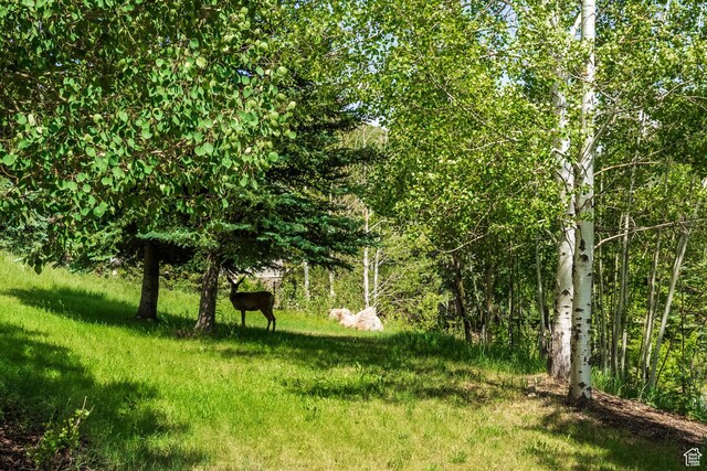 1308 Pinnacle Ct, Park City, UT 84060