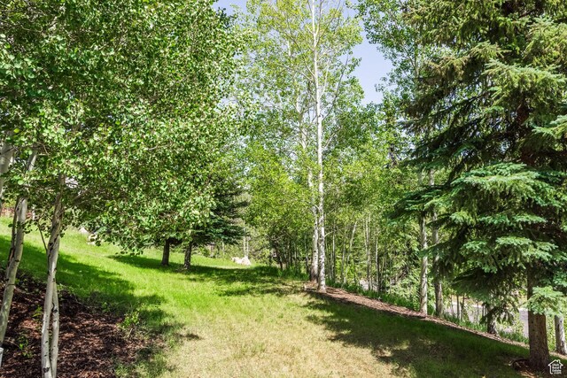 1308 Pinnacle Ct, Park City, UT 84060