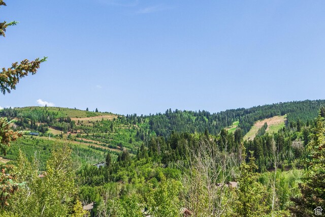 1308 Pinnacle Ct, Park City, UT 84060