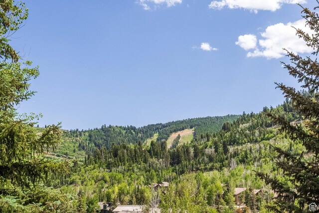 1308 Pinnacle Ct, Park City, UT 84060