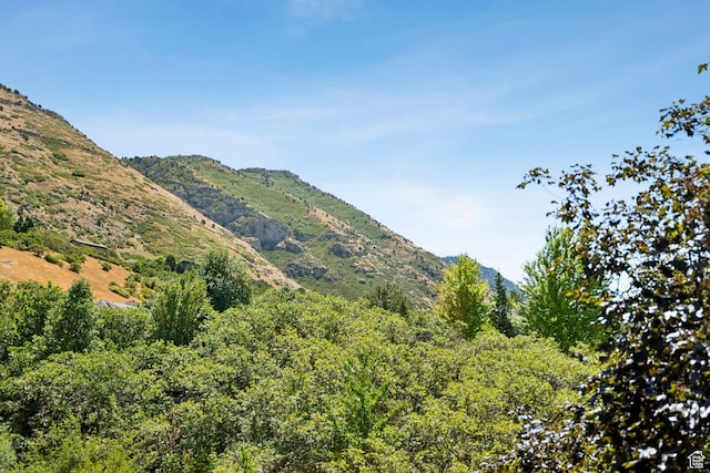 4307 Churchill Dr N Unit 97, Provo, UT 84604 - mountain view