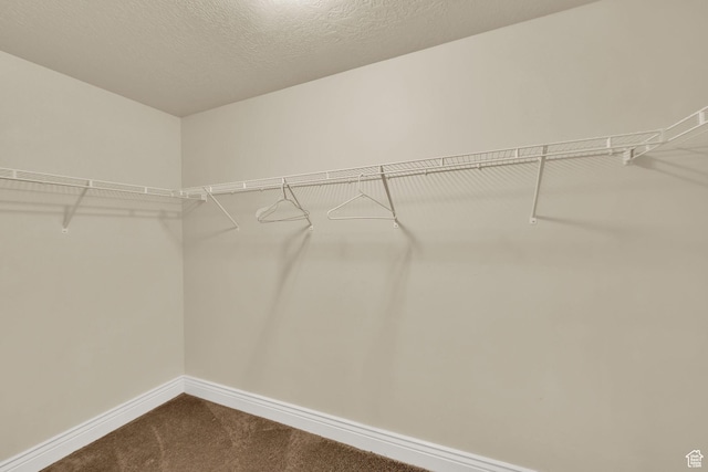 8264 S Resaca Dr Unit K9, Sandy, UT 84070 - spacious closet with dark colored carpet