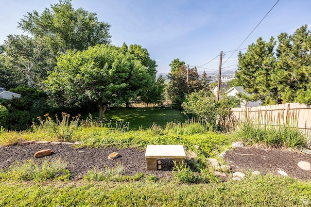 420 E 12th Ave, Salt Lake City, UT 84103 - view of yard