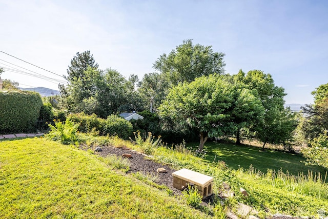 420 E 12th Ave, Salt Lake City, UT 84103 - view of green lawn