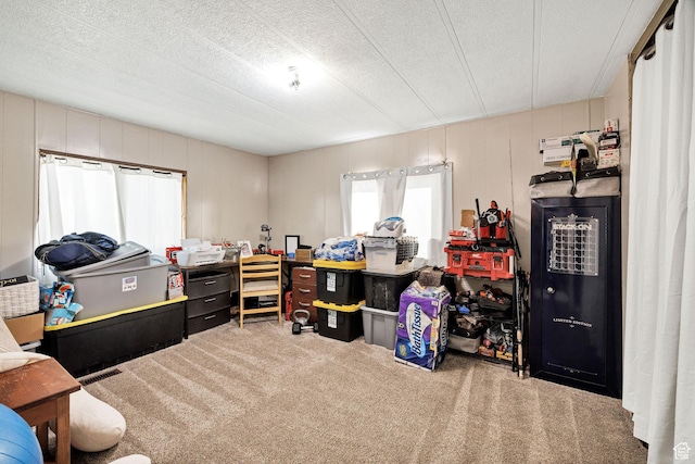 20105 N 5000 W, Plymouth, UT 84330 - carpeted home office with a textured ceiling