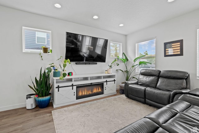 1162 W 1100 S, Clearfield, UT 84015 - living area featuring recessed lighting, wood finished floors, and a glass covered fireplace