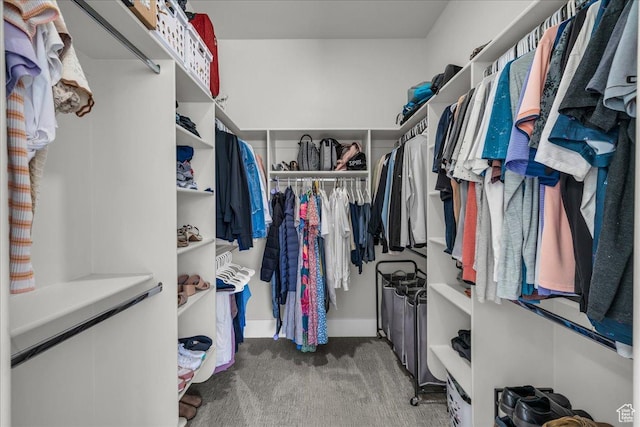 2249 E Fieldstone Cir, St George, UT 84790 - spacious closet featuring carpet flooring