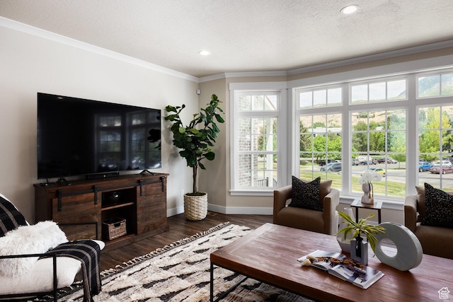 5149 N Edgewood Dr, Provo, UT 84604 - living area with wood finished floors, ornamental molding, healthy amount of natural light, a textured ceiling, and recessed lighting
