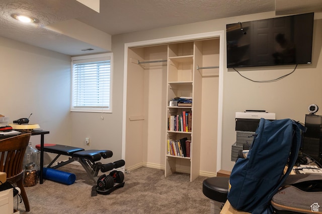 11089 S Justin Dr, Sandy, UT 84092 - workout room featuring carpet floors and a textured ceiling