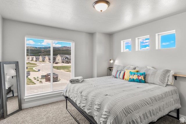 130 W Seasons Loop Upper, Upper, Garden City, UT 84028 - carpeted bedroom featuring baseboards