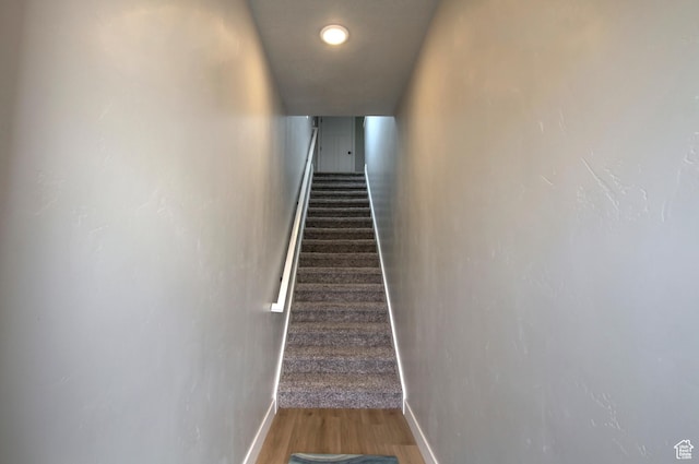 130 W Seasons Loop Upper, Upper, Garden City, UT 84028 - stairway featuring baseboards and wood finished floors