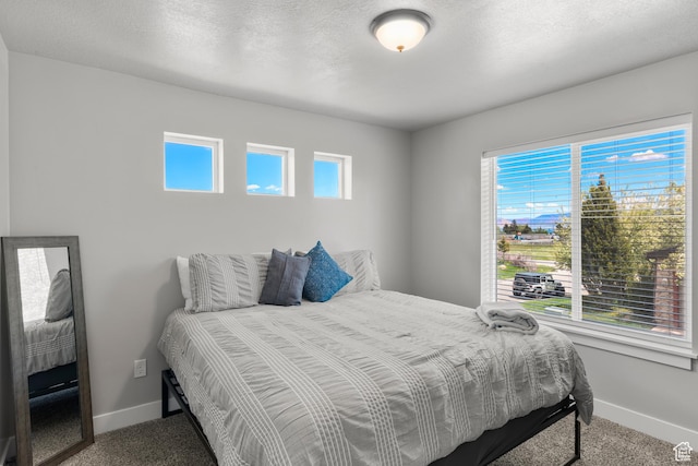 130 W Seasons Loop Upper, Upper, Garden City, UT 84028 - bedroom with carpet