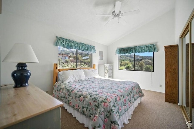 214 S Terry Pkwy, Pine Valley, UT 84781 - carpeted bedroom with high vaulted ceiling and a ceiling fan