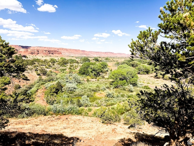 Torrey, UT 84775 - photo 17