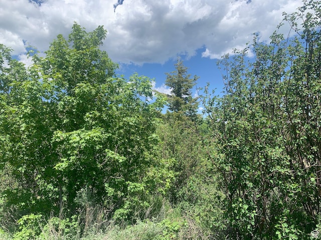 516 Cold Springs Dr Unit 383, Fish Haven, ID 83287